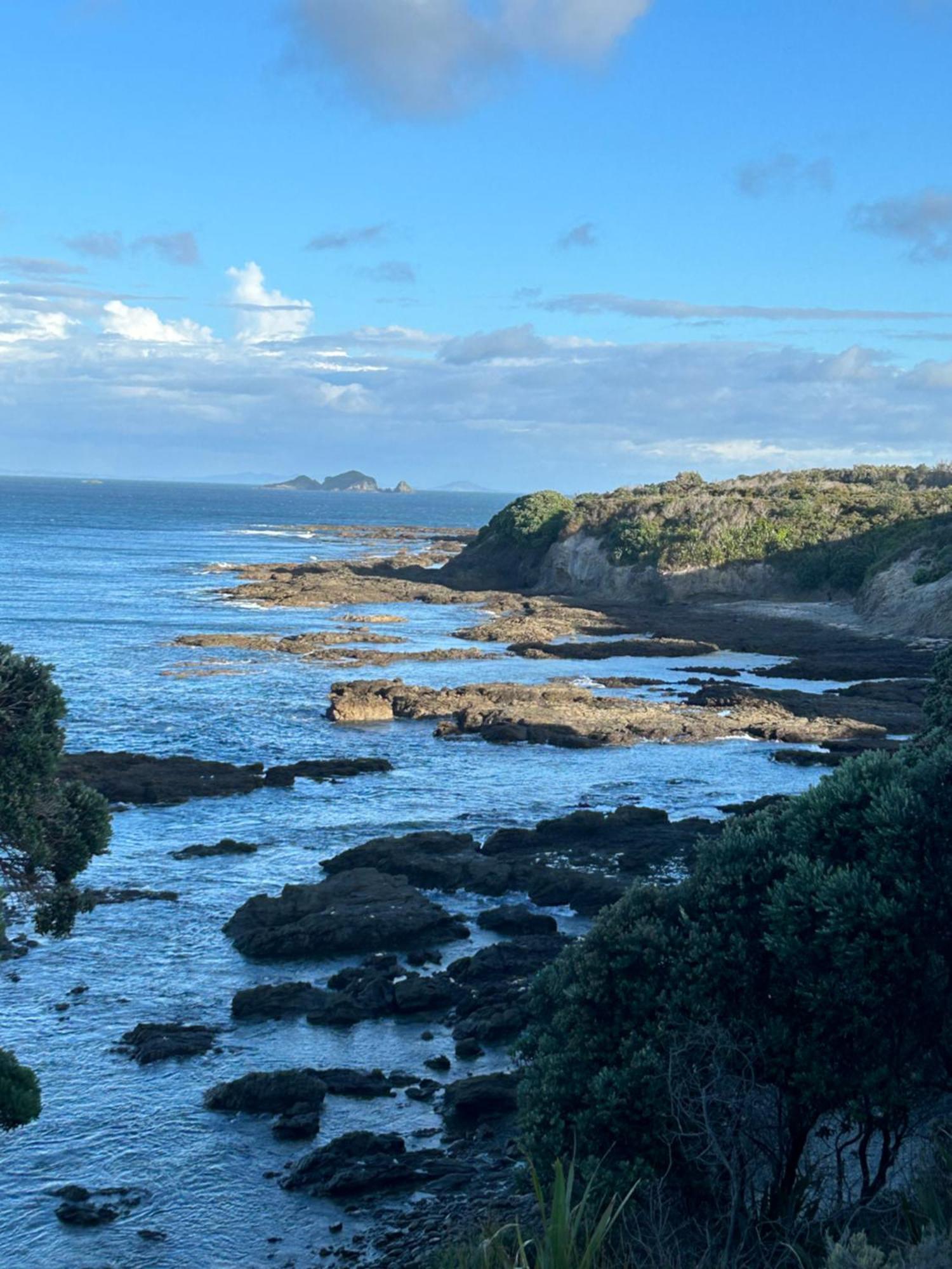 Green Turtle Cottage Pukenui Exterior foto